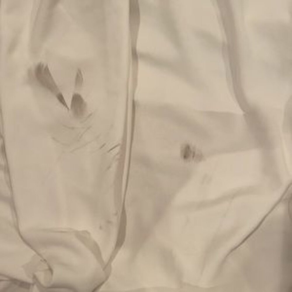 Pronovias Bianca Wedding Gown - Picture 4 of 5
